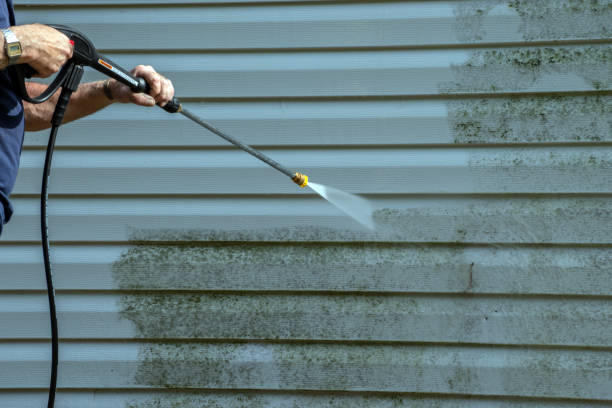 Best Roof Cleaning and Mildew Removal in Glennville, GA